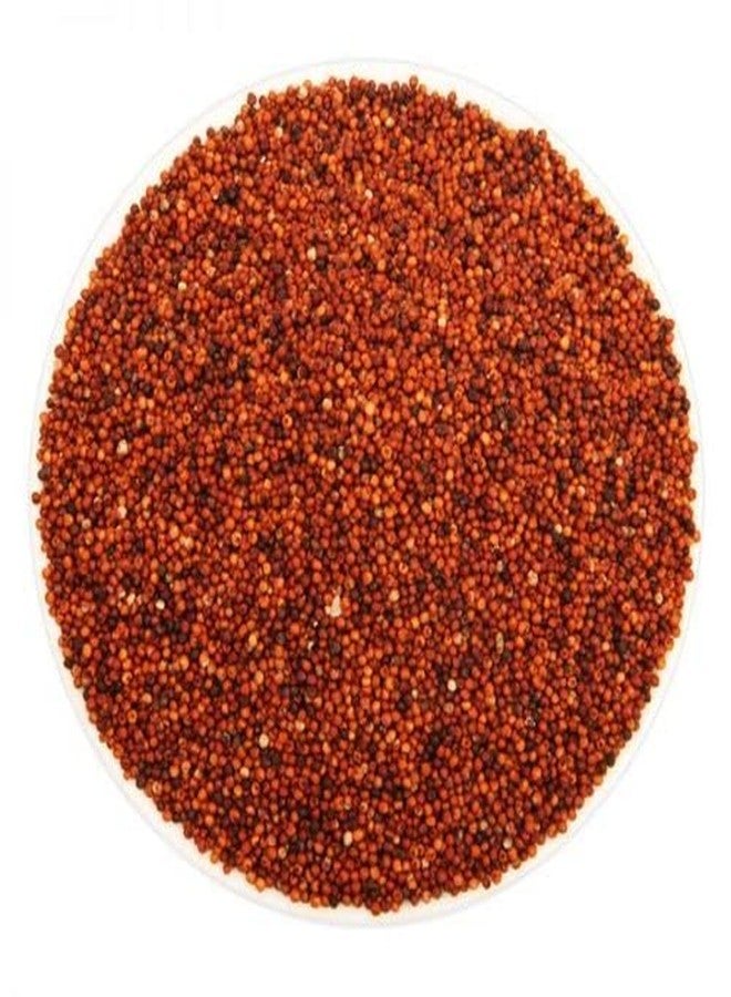 One Top Bird Natural Growth Foods Red Millet for Dove,Parrot,Cockatoo,Macaw All Birds Nuts (1000 Gram) All Birds | Daily Birds Food - Image 1